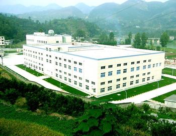 某制藥企業(yè)財(cái)務(wù)管理咨詢案例